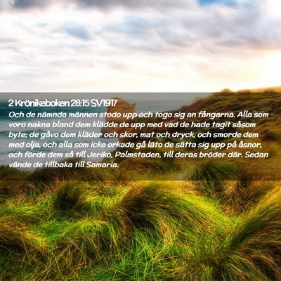 Picture 02 - 2 Krönikeboken 28:15 SV1917 - Och de nämnda männen stodo upp och togo sig an - Bible Verse Picture