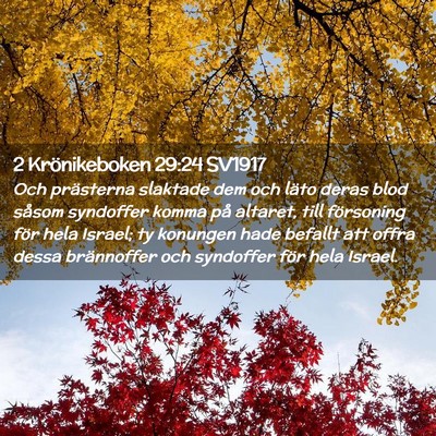 Picture 02 - 2 Krönikeboken 29:24 SV1917 - Och prästerna slaktade dem och läto deras blod - Bible Verse Picture