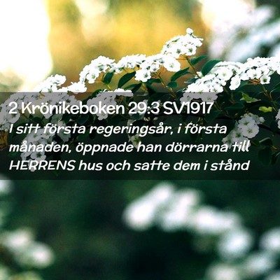 Picture 02 - 2 Krönikeboken 29:3 SV1917 - I sitt första regeringsår, i första månaden, - Bible Verse Picture