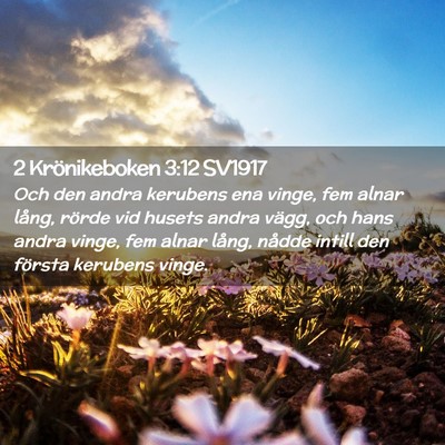 Picture 02 - 2 Krönikeboken 3:12 SV1917 - Och den andra kerubens ena vinge, fem alnar - Bible Verse Picture