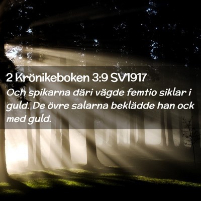 Picture 02 - 2 Krönikeboken 3:9 SV1917 - Och spikarna däri vägde femtio siklar i guld. - Bible Verse Picture