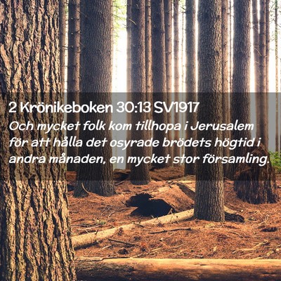 Picture 02 - 2 Krönikeboken 30:13 SV1917 - Och mycket folk kom tillhopa i Jerusalem för att - Bible Verse Picture