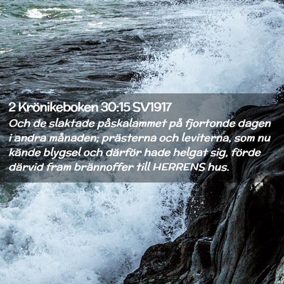 Picture 02 - 2 Krönikeboken 30:15 SV1917 - Och de slaktade påskalammet på fjortonde dagen - Bible Verse Picture