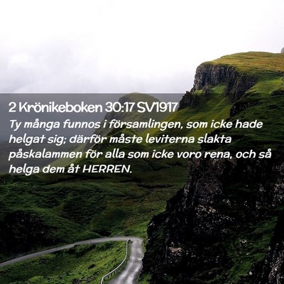 Picture 02 - 2 Krönikeboken 30:17 SV1917 - Ty många funnos i församlingen, som icke hade - Bible Verse Picture