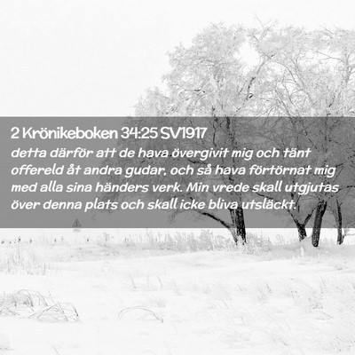 Picture 02 - 2 Krönikeboken 34:25 SV1917 - detta därför att de hava övergivit mig och - Bible Verse Picture