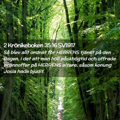 Picture 02 - 2 Krönikeboken 35:16 SV1917 - Så blev allt ordnat för HERRENS tjänst på den - Bible Verse Picture