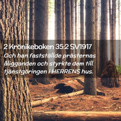 Picture 02 - 2 Krönikeboken 35:2 SV1917 - Och han fastställde prästernas åligganden och - Bible Verse Picture