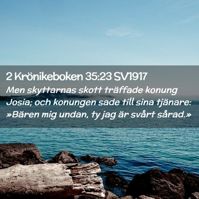 Picture 02 - 2 Krönikeboken 35:23 SV1917 - Men skyttarnas skott träffade konung Josia; och - Bible Verse Picture