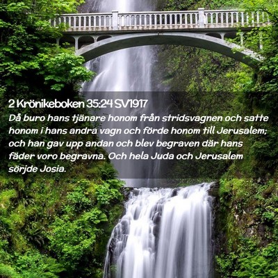 Picture 02 - 2 Krönikeboken 35:24 SV1917 - Då buro hans tjänare honom från stridsvagnen - Bible Verse Picture
