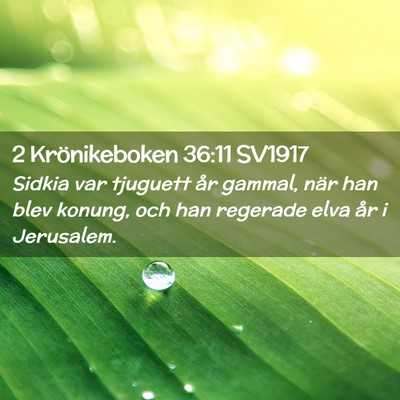 Picture 02 - 2 Krönikeboken 36:11 SV1917 - Sidkia var tjuguett år gammal, när han blev - Bible Verse Picture