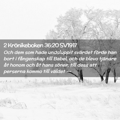 Picture 02 - 2 Krönikeboken 36:20 SV1917 - Och dem som hade undsluppit svärdet förde han - Bible Verse Picture