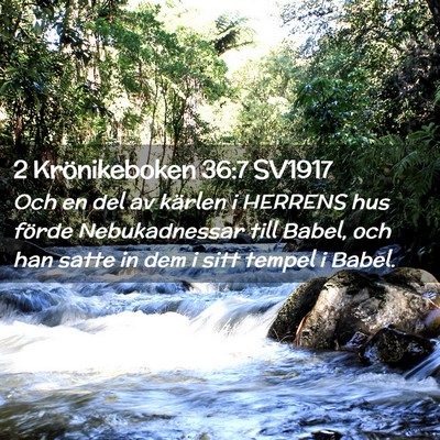 Picture 02 - 2 Krönikeboken 36:7 SV1917 - Och en del av kärlen i HERRENS hus förde - Bible Verse Picture