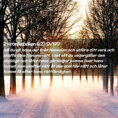 Picture 02 - 2 Krönikeboken 6:23 SV1917 - må du då höra det från himmelen och utföra - Bible Verse Picture