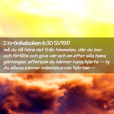 Picture 02 - 2 Krönikeboken 6:30 SV1917 - må du då höra det från himmelen, där du bor, - Bible Verse Picture