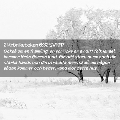 Picture 02 - 2 Krönikeboken 6:32 SV1917 - Också om en främling, en som icke är av ditt - Bible Verse Picture