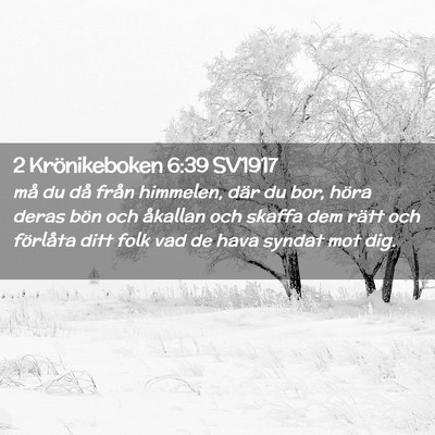 Picture 02 - 2 Krönikeboken 6:39 SV1917 - må du då från himmelen, där du bor, höra - Bible Verse Picture