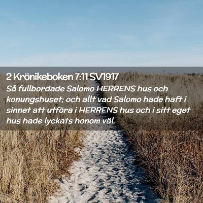 Picture 02 - 2 Krönikeboken 7:11 SV1917 - Så fullbordade Salomo HERRENS hus och - Bible Verse Picture
