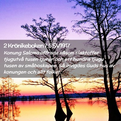 Picture 02 - 2 Krönikeboken 7:5 SV1917 - Konung Salomo offrade såsom slaktoffer tjugutvå - Bible Verse Picture
