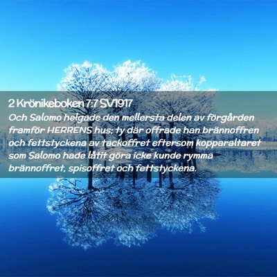 Picture 02 - 2 Krönikeboken 7:7 SV1917 - Och Salomo helgade den mellersta delen av - Bible Verse Picture