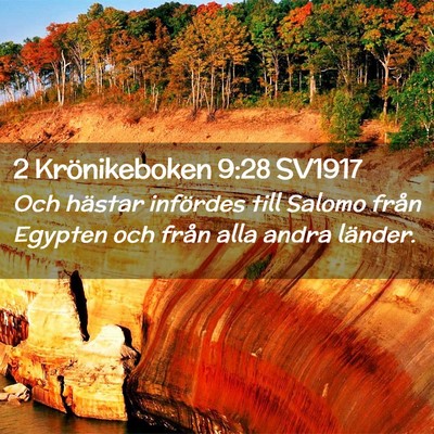 Picture 02 - 2 Krönikeboken 9:28 SV1917 - Och hästar infördes till Salomo från Egypten - Bible Verse Picture