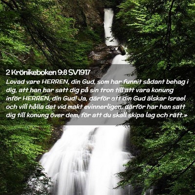 Picture 02 - 2 Krönikeboken 9:8 SV1917 - Lovad vare HERREN, din Gud, som har funnit - Bible Verse Picture