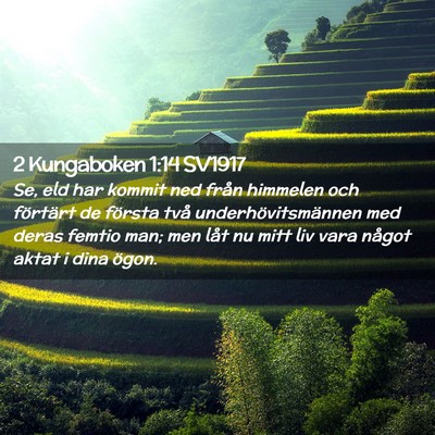 Picture 02 - 2 Kungaboken 1:14 SV1917 - Se, eld har kommit ned från himmelen och - Bible Verse Picture