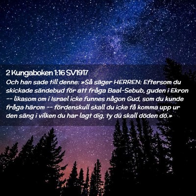 Picture 02 - 2 Kungaboken 1:16 SV1917 - Och han sade till denne: »Så säger HERREN: - Bible Verse Picture