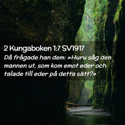 Picture 02 - 2 Kungaboken 1:7 SV1917 - Då frågade han dem: »Huru såg den mannen ut, - Bible Verse Picture