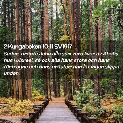 Picture 02 - 2 Kungaboken 10:11 SV1917 - Sedan, dräpte Jehu alla som voro kvar av Ahabs - Bible Verse Picture