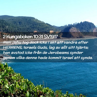Picture 02 - 2 Kungaboken 10:31 SV1917 - Men Jehu tog dock icke i akt att vandra efter - Bible Verse Picture