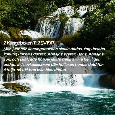 Picture 02 - 2 Kungaboken 11:2 SV1917 - Men just när konungabarnen skulle dödas, tog - Bible Verse Picture