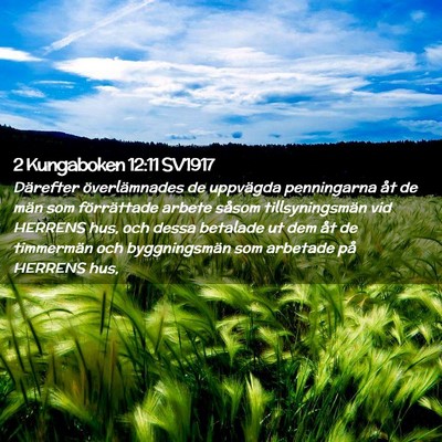 Picture 02 - 2 Kungaboken 12:11 SV1917 - Därefter överlämnades de uppvägda penningarna - Bible Verse Picture