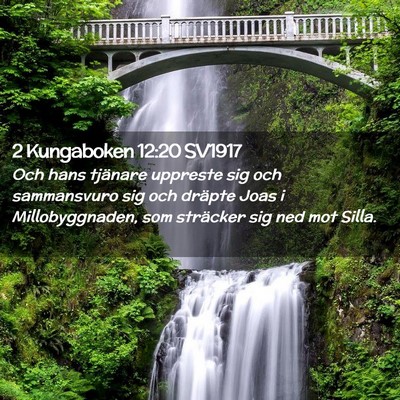 Picture 02 - 2 Kungaboken 12:20 SV1917 - Och hans tjänare uppreste sig och sammansvuro - Bible Verse Picture