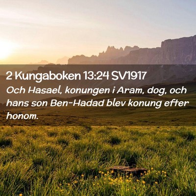 Picture 02 - 2 Kungaboken 13:24 SV1917 - Och Hasael, konungen i Aram, dog, och hans son - Bible Verse Picture
