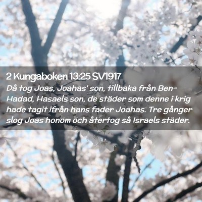 Picture 02 - 2 Kungaboken 13:25 SV1917 - Då tog Joas, Joahas' son, tillbaka från - Bible Verse Picture