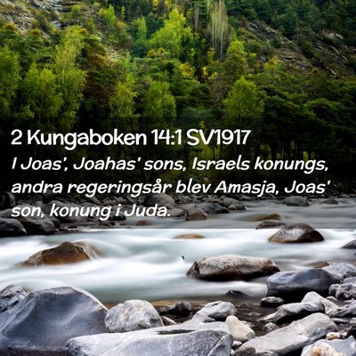 Picture 02 - 2 Kungaboken 14:1 SV1917 - I Joas', Joahas' sons, Israels konungs, andra - Bible Verse Picture