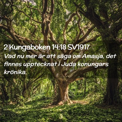 Picture 02 - 2 Kungaboken 14:18 SV1917 - Vad nu mer är att säga om Amasja, det finnes - Bible Verse Picture