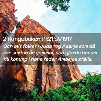 Picture 02 - 2 Kungaboken 14:21 SV1917 - Och allt folket i Juda tog Asarja som då var - Bible Verse Picture