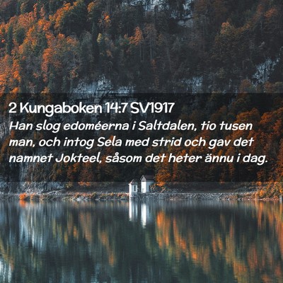 Picture 02 - 2 Kungaboken 14:7 SV1917 - Han slog edoméerna i Saltdalen, tio tusen man, - Bible Verse Picture