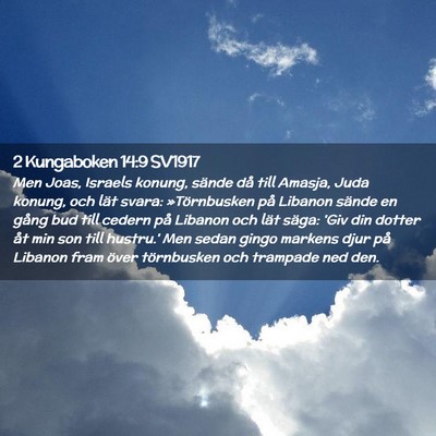 Picture 02 - 2 Kungaboken 14:9 SV1917 - Men Joas, Israels konung, sände då till Amasja, - Bible Verse Picture