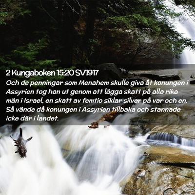 Picture 02 - 2 Kungaboken 15:20 SV1917 - Och de penningar som Menahem skulle giva åt - Bible Verse Picture