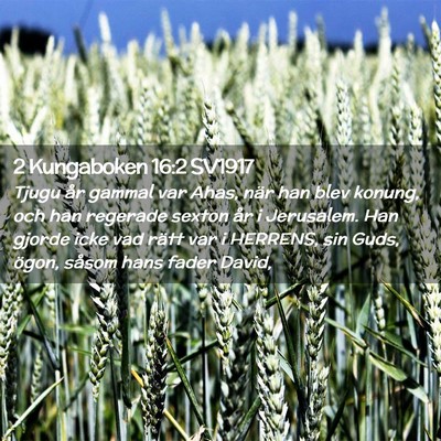 Picture 02 - 2 Kungaboken 16:2 SV1917 - Tjugu år gammal var Ahas, när han blev konung, - Bible Verse Picture