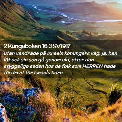 Picture 02 - 2 Kungaboken 16:3 SV1917 - utan vandrade på Israels konungars väg; ja, han - Bible Verse Picture