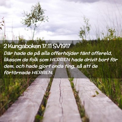 Picture 02 - 2 Kungaboken 17:11 SV1917 - Där hade de på alla offerhöjder tänt - Bible Verse Picture