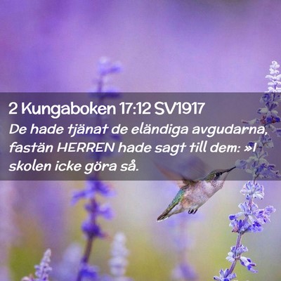 Picture 02 - 2 Kungaboken 17:12 SV1917 - De hade tjänat de eländiga avgudarna, fastän - Bible Verse Picture