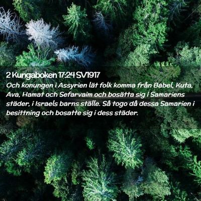 Picture 02 - 2 Kungaboken 17:24 SV1917 - Och konungen i Assyrien lät folk komma från - Bible Verse Picture
