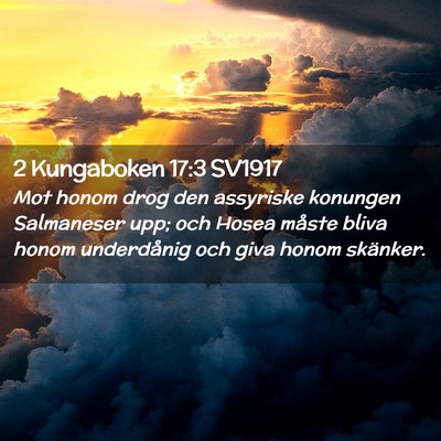 Picture 02 - 2 Kungaboken 17:3 SV1917 - Mot honom drog den assyriske konungen Salmaneser - Bible Verse Picture