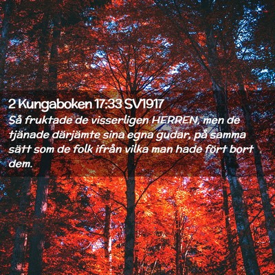 Picture 02 - 2 Kungaboken 17:33 SV1917 - Så fruktade de visserligen HERREN, men de - Bible Verse Picture