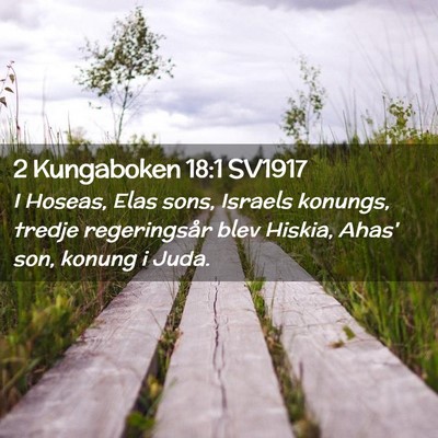Picture 02 - 2 Kungaboken 18:1 SV1917 - I Hoseas, Elas sons, Israels konungs, tredje - Bible Verse Picture