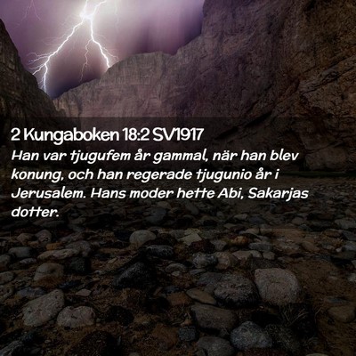Picture 02 - 2 Kungaboken 18:2 SV1917 - Han var tjugufem år gammal, när han blev - Bible Verse Picture